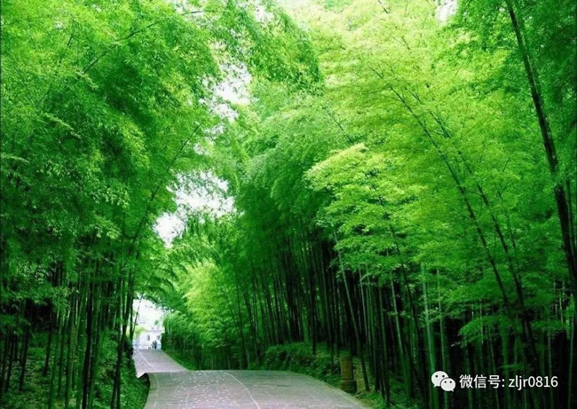 翡翠長(cháng)廊