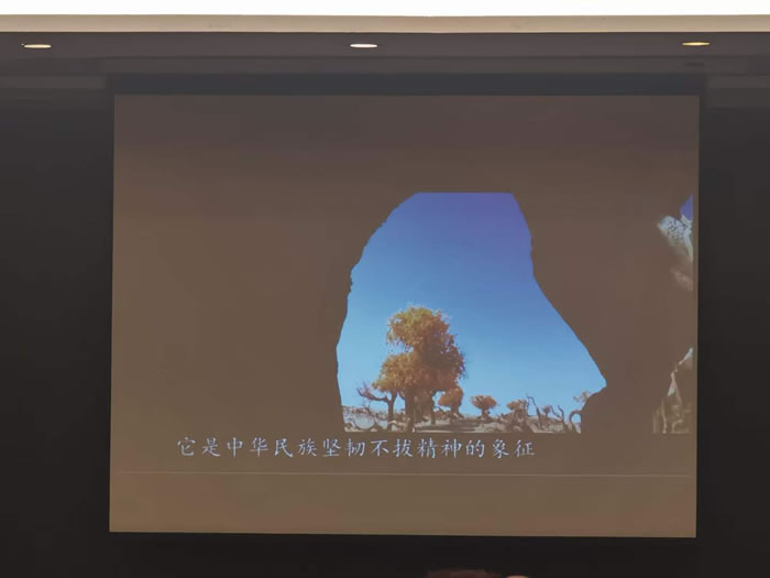 綿陽中旅行假日旅行社舉行胡楊林、南疆專列推薦會(huì)
